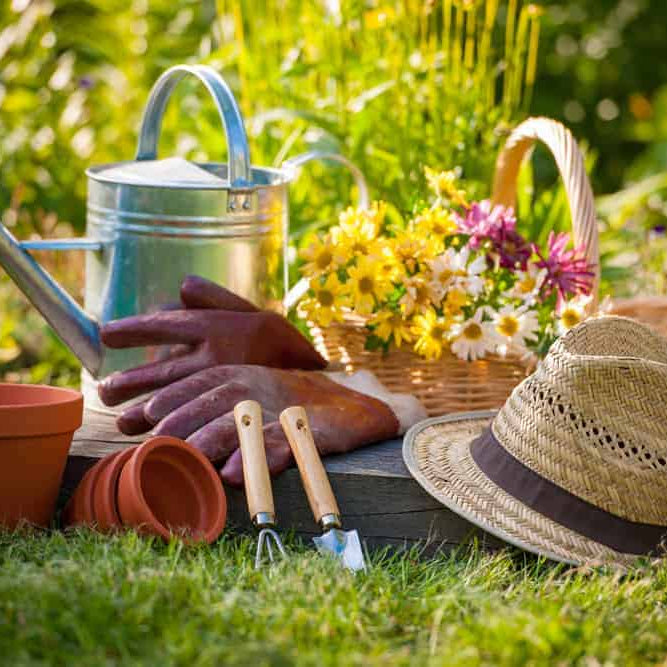 Best Gifts for Gardeners