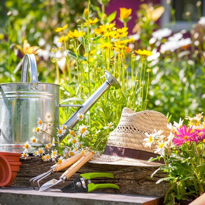 Simple Tips for Maintaining Your Gardening Tools