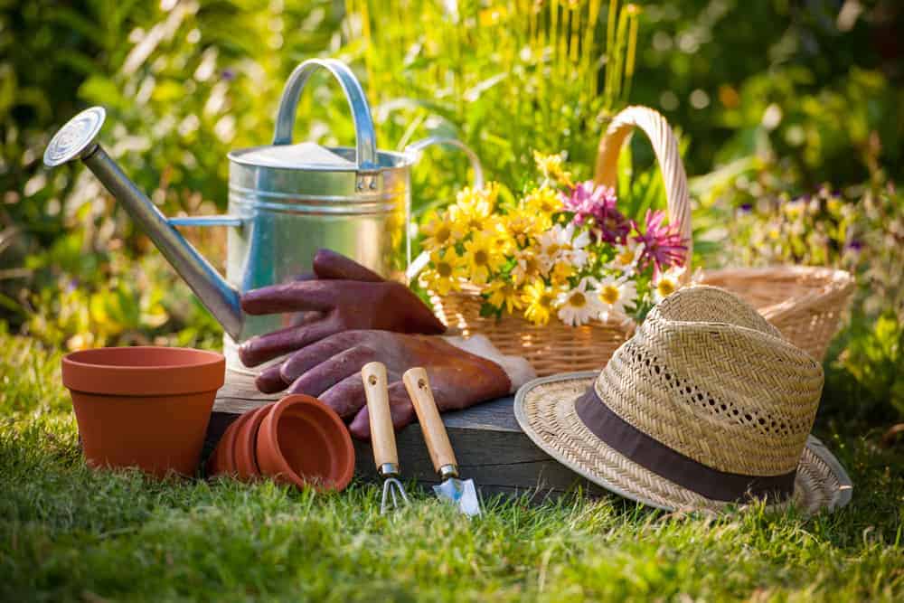 Best Gifts for Gardeners