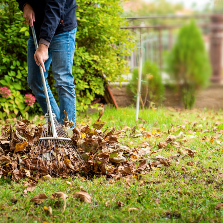 How To Get Your Lawn Or Yard Ready For Fall